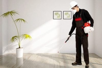 شركة رش حشرات بالمدينه المنوره