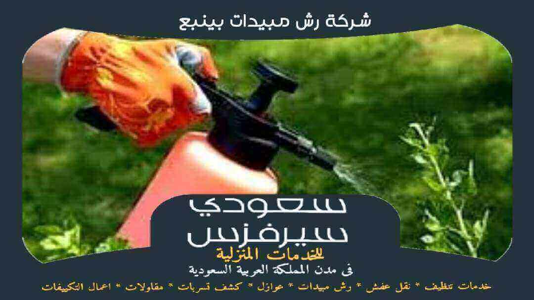 شركة رش مبيدات بينبع جاهزة 24 ساعة