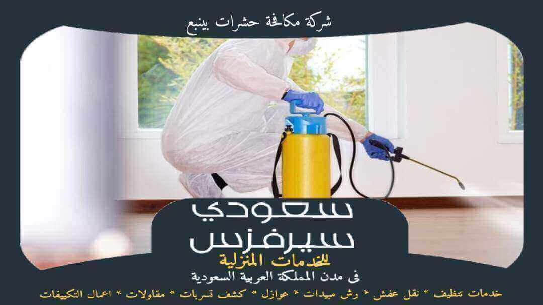 شركة مكافحة حشرات بينبع جاهزة 24 ساعة